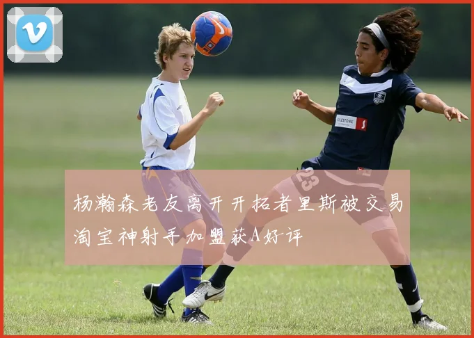 杨瀚森老友离开开拓者里斯被交易淘宝神射手加盟获A好评